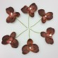 Mini orchidées de couleur (x6) chocolat