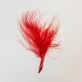 Plumes bordeaux (x20)