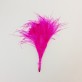 Plumes fuchsia (x20)