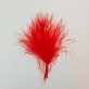 Plumes rouge (x20)