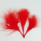 Plumes rouge (x20)