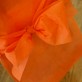 Housses de chaise orange ( x10) + noeud en non tissé