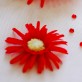 4 grands gerberas rouge