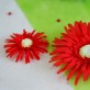 Grands gerberas rouge (x4)