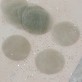 Confettis ronds non tissés (x100) gris