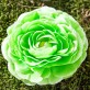 Fleurs glamour vert anis (x2)