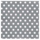 Serviettes à pois (x20) argent / blanc