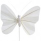 Papillons unis sur tige (x6) Blanc 