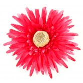 Grands gerberas fuchsia (x4)