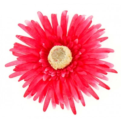 Grands gerberas fuchsia (x4)