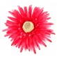 Grands gerberas fuchsia (x4)