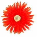 Grands gerberas rouge (x4)