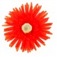 Grands gerberas rouge (x4)