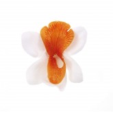 Orchidées sur pince (x6) blanc / orange