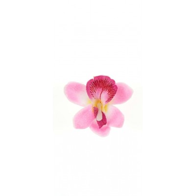 Orchidées sur pince (x6) blanc / rose