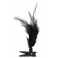 Plumes sur pince (x6) noires