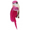 Perruches sur pince (x2) fuchsia