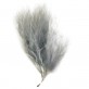 Plumes gris (x20)