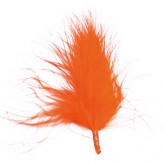 Plumes orange ( x20)