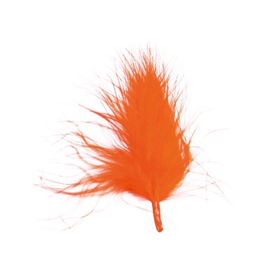 Plumes orange ( x20)