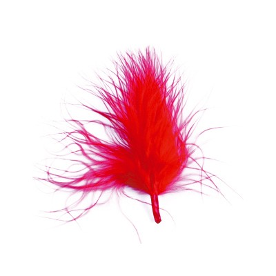 Plumes rouge (x20)