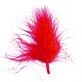 Plumes rouge (x20)