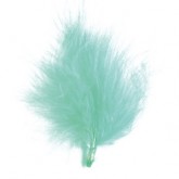 Plumes turquoise (x20)