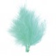 Plumes turquoise (x20)