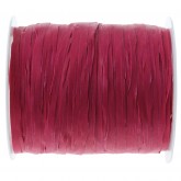Rafil fuchsia