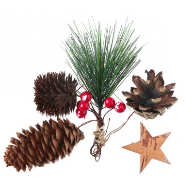 Assortiment forestier de Noël 