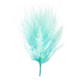 Plume Menthe 