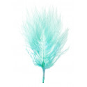 Plumes Menthe (x20)