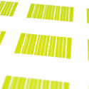 Etiquettes rayées carrées (x25) vert anis