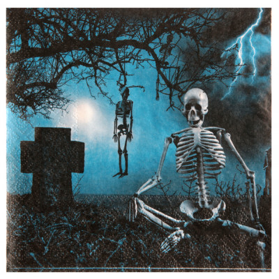 Serviette Halloween hanté x20