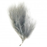 Plumes déco (x30) gris