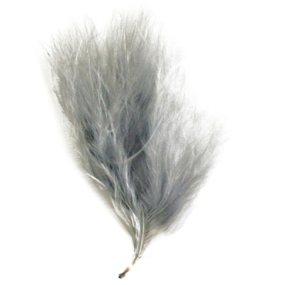 Plumes déco (x30) gris