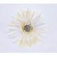 Grands gerberas Blanc (x4)