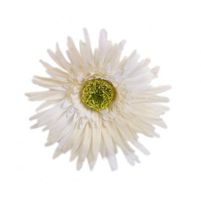 Grands gerberas Blanc (x4)