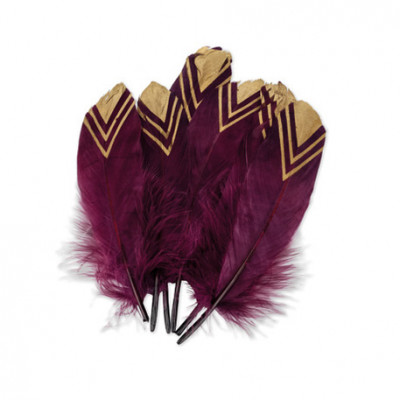 Plumes ethnique marsala et or x6