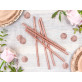 Pailles rose gold métal x10