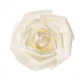 Rose géante blanche