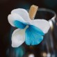 Orchidées sur pince (x6) blanc / turquoise